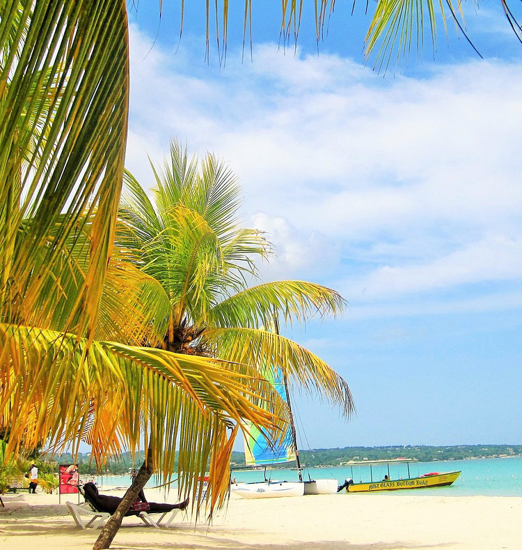 Jamaica Playa